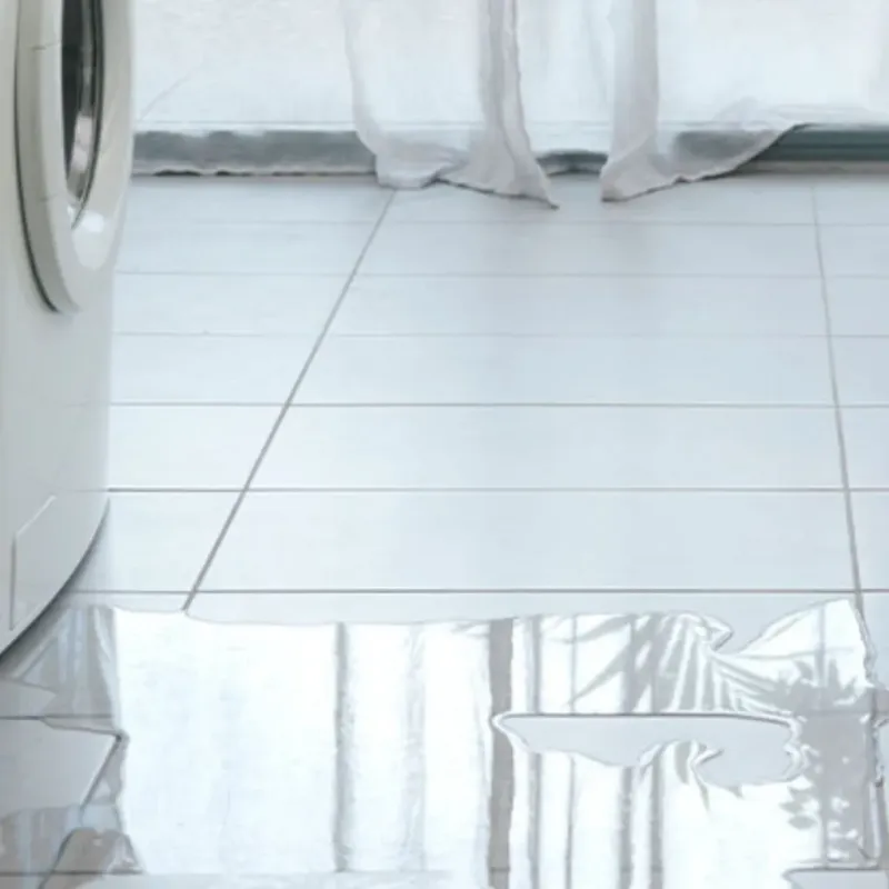 Appliance Leak Cleanup in Raleigh County, WV
