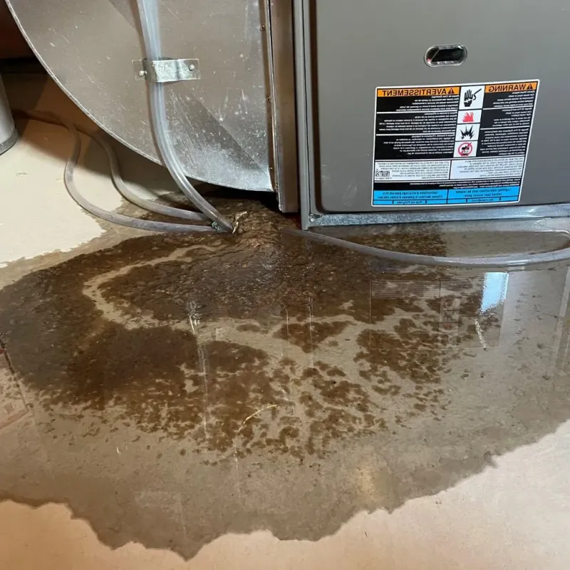 Pipe Burst and Leak Restoration in Raleigh County, WV